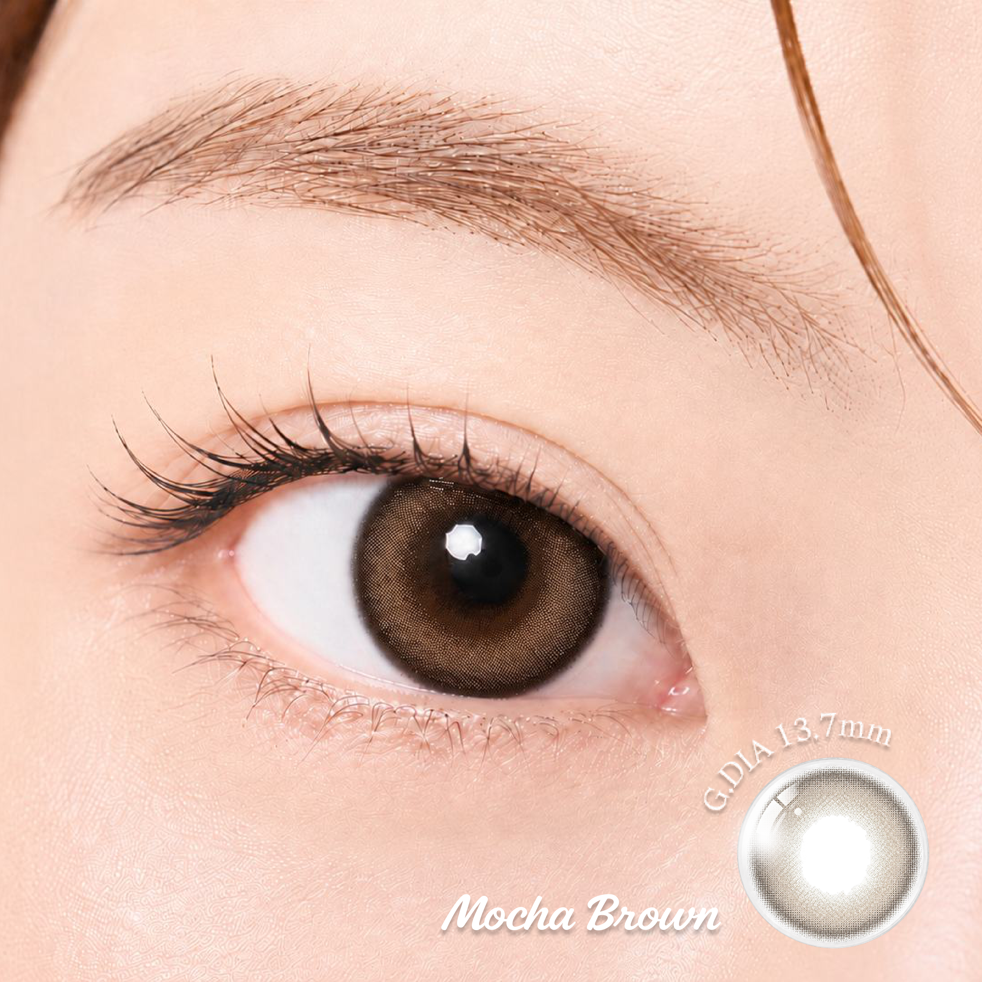 Mocha Brown